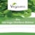 Moringa Oleifera Blätter
